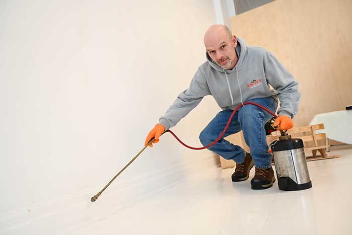 Commercial Pest Control Services