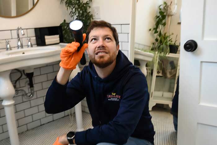 Commercial Pest Control Services